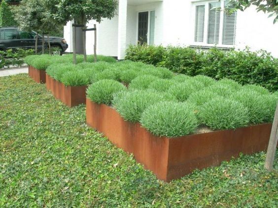 Cheap Outdoor Plant Pots